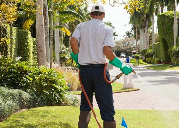 About Krum TX Pest Control